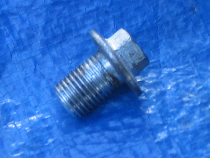 Drain plug